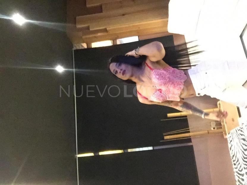  tiffany trans