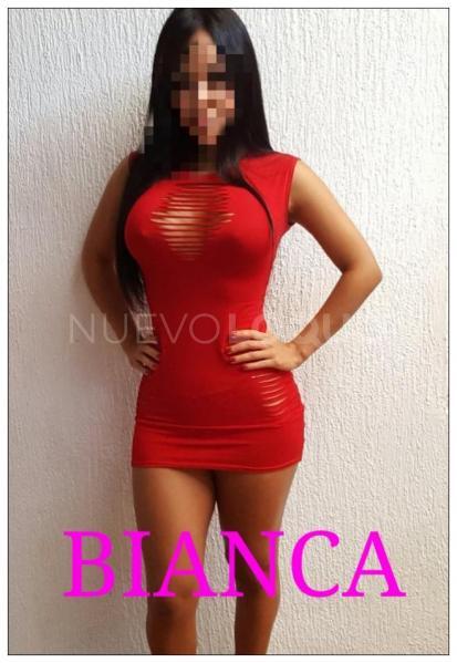 NuevoLoquo3