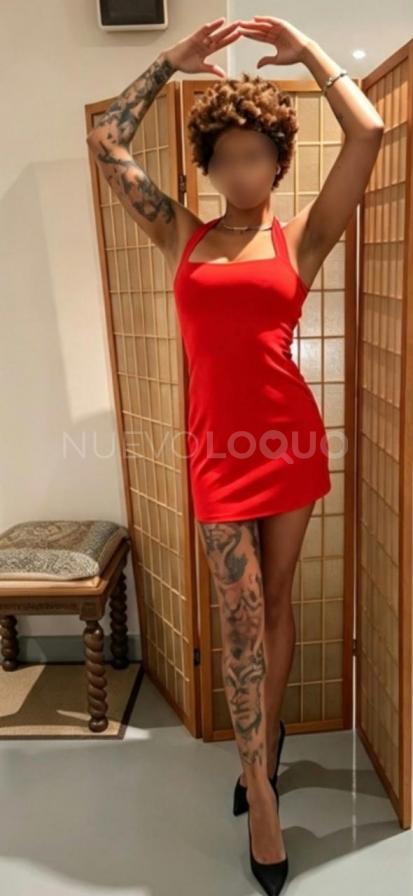 NuevoLoquo0
