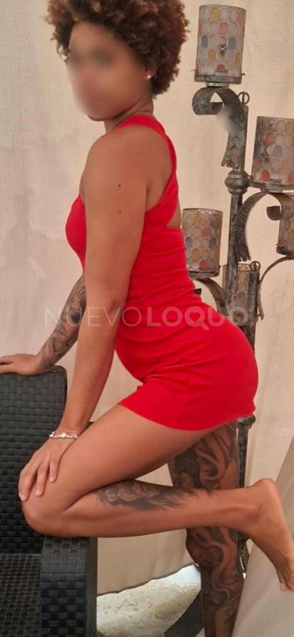 NuevoLoquo3