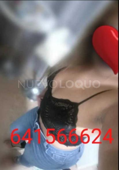 NuevoLoquo2