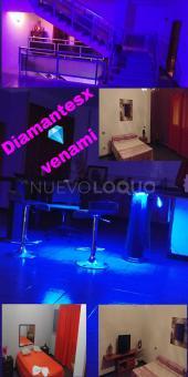 pasarela de transexuales  imprecionantes cuerpazos