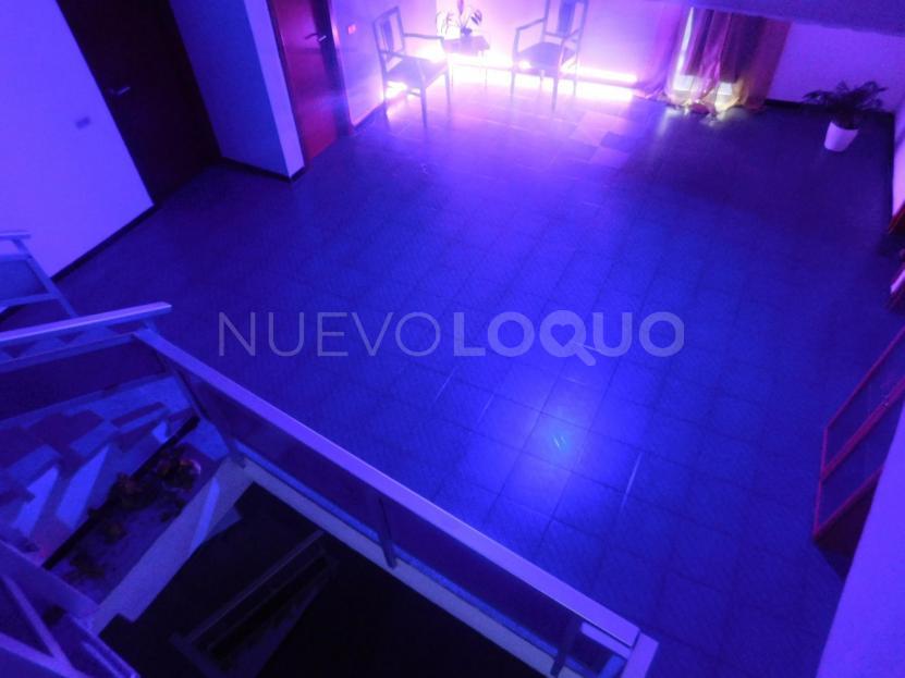 NuevoLoquo2