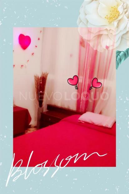 NuevoLoquo4