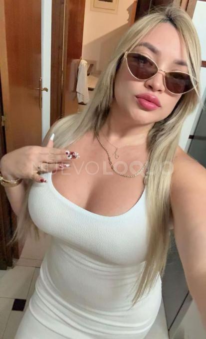 NuevoLoquo2