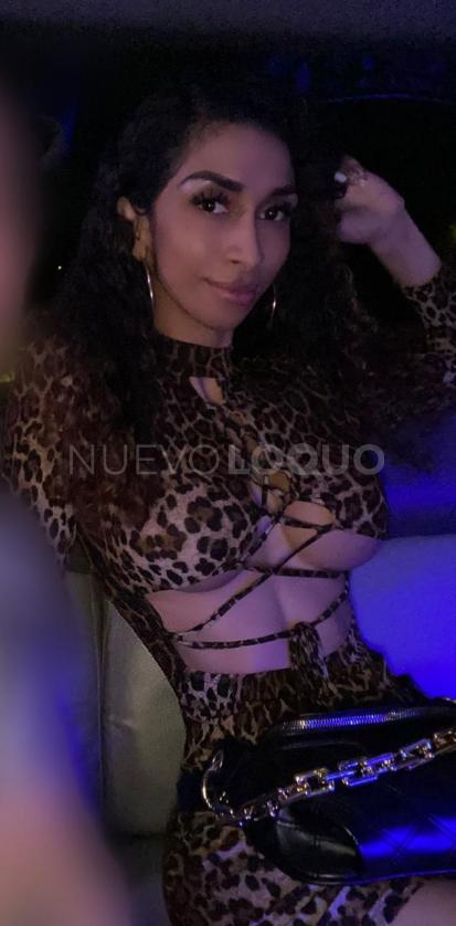 NuevoLoquo0