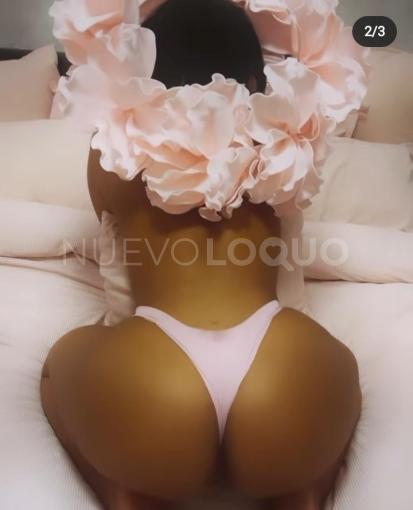 NuevoLoquo1