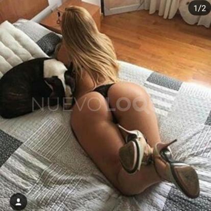 NuevoLoquo4