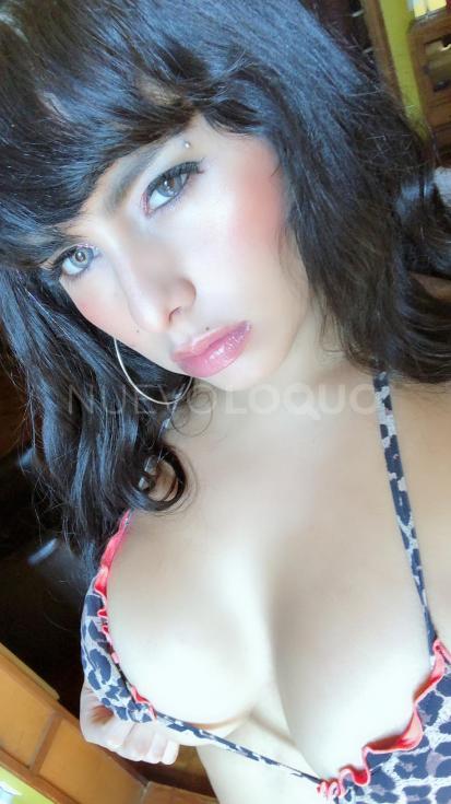 NuevoLoquo3
