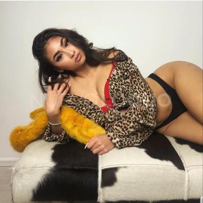 NuevoLoquo1