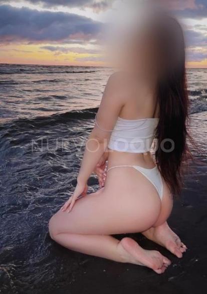 NuevoLoquo3