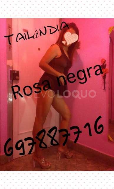NuevoLoquo4