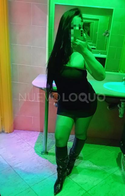 NuevoLoquo2