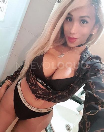 NuevoLoquo3