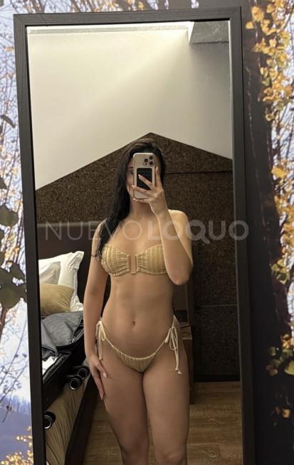 NuevoLoquo2