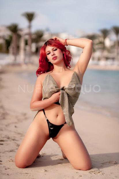 NuevoLoquo1