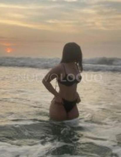 NuevoLoquo2