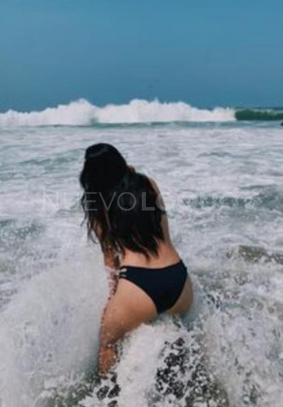 NuevoLoquo3