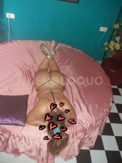 NuevoLoquo2