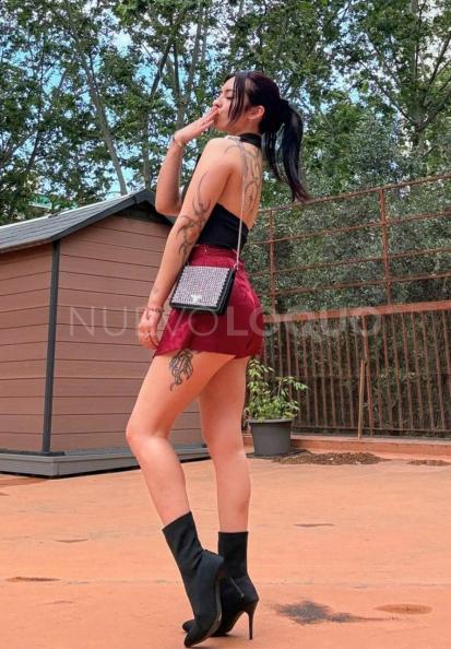 NuevoLoquo1
