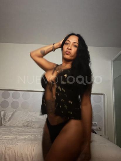 NuevoLoquo4