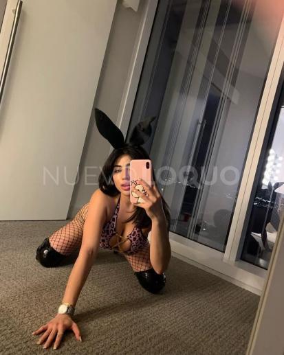 NuevoLoquo1