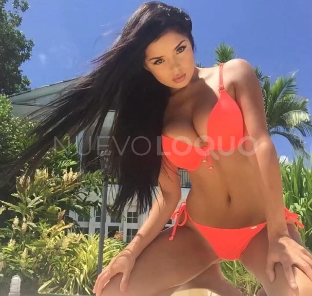 NuevoLoquo5