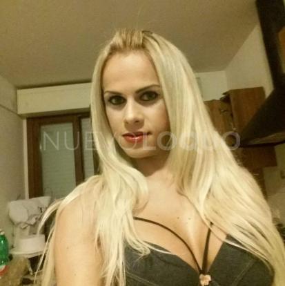 NuevoLoquo2