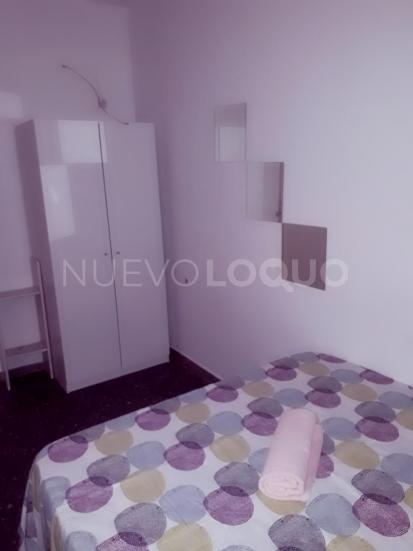 NuevoLoquo2