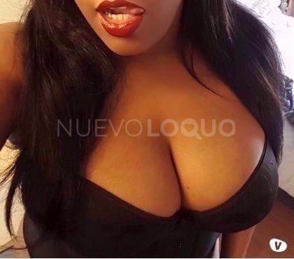 NuevoLoquo3