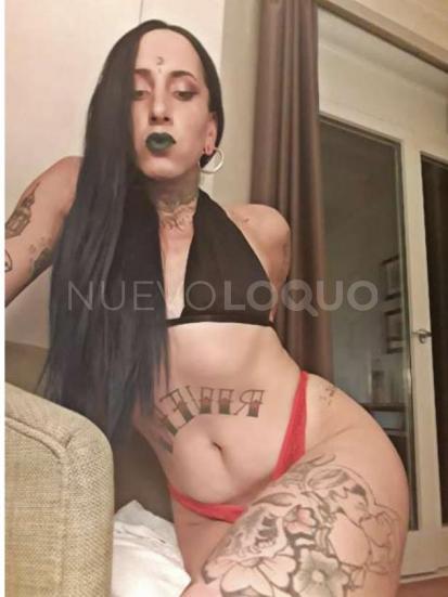 NuevoLoquo5