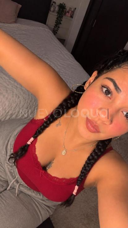 NuevoLoquo1