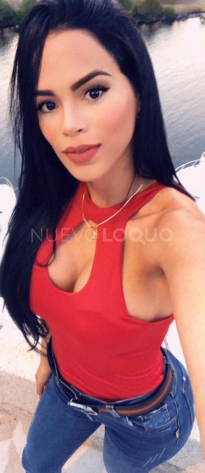 NuevoLoquo3