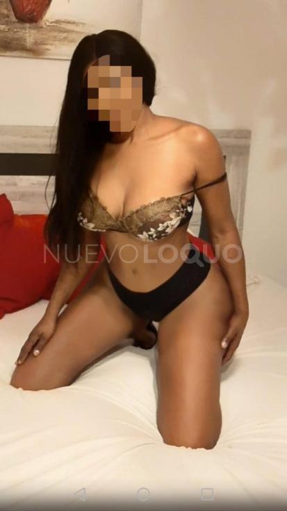 NuevoLoquo1