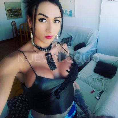 NuevoLoquo5