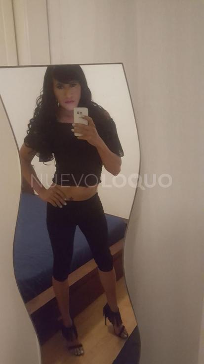 NuevoLoquo4