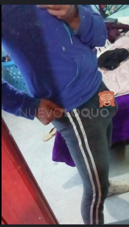 NuevoLoquo2