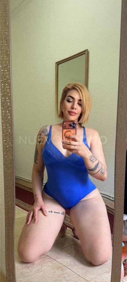 NuevoLoquo3