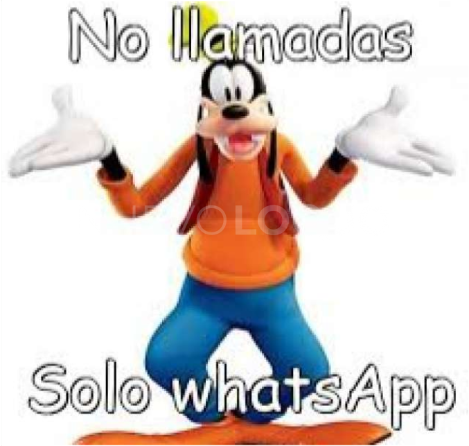 NuevoLoquo1