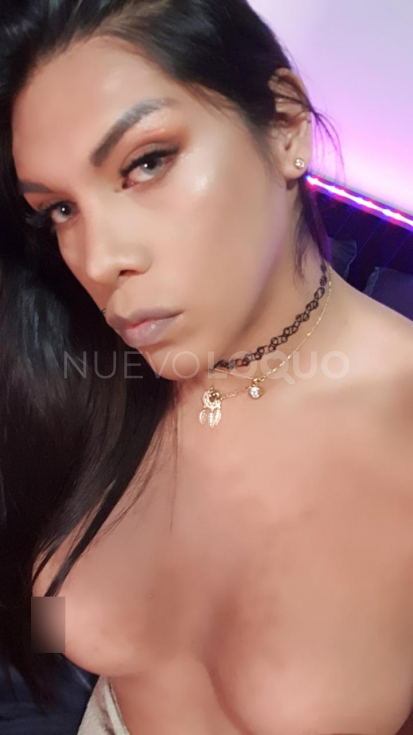 NuevoLoquo2