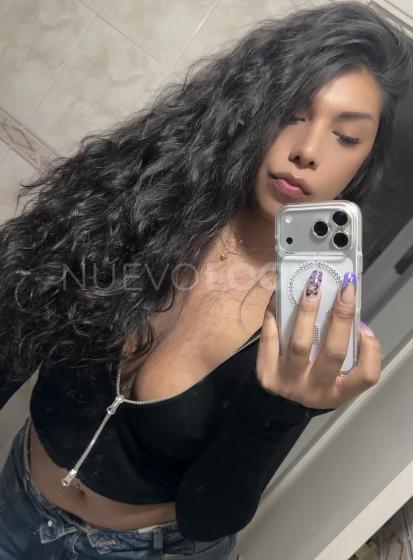 NuevoLoquo3