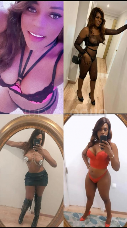 NuevoLoquo5