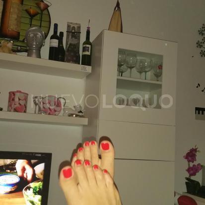 NuevoLoquo1