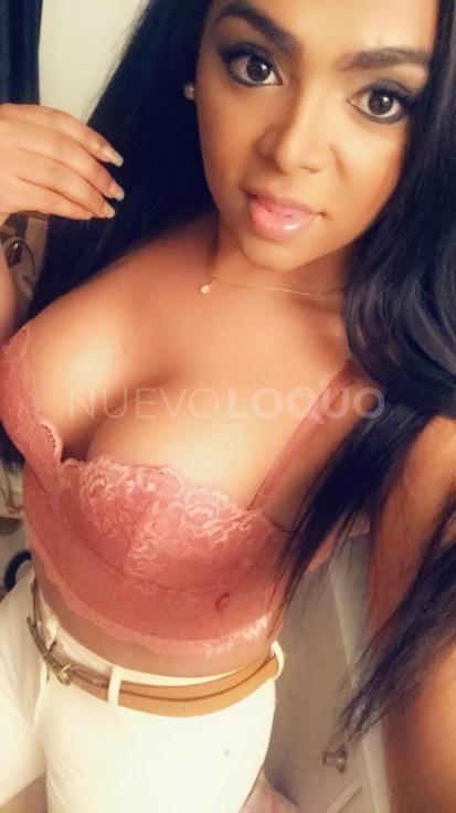 NuevoLoquo1