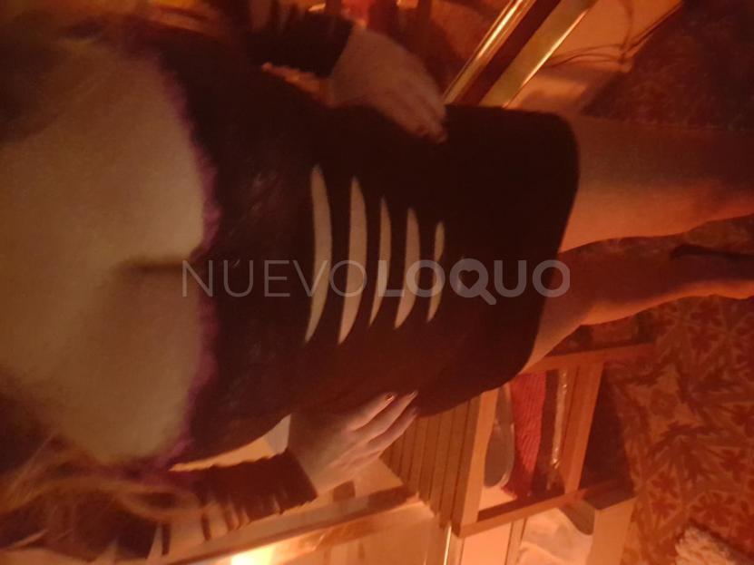 NuevoLoquo5