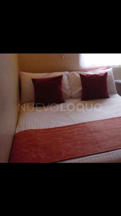 NuevoLoquo1