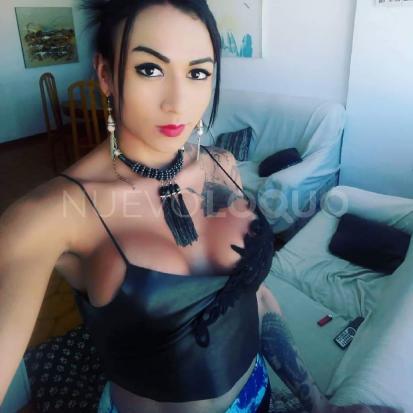 NuevoLoquo3