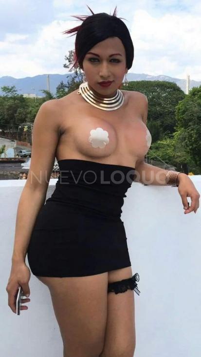 NuevoLoquo4