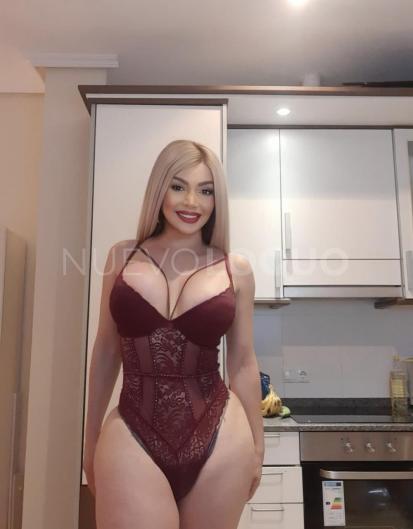 NuevoLoquo3