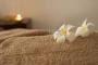  Beautiful masseuse. Relaxing massage to Hotels, domicile.